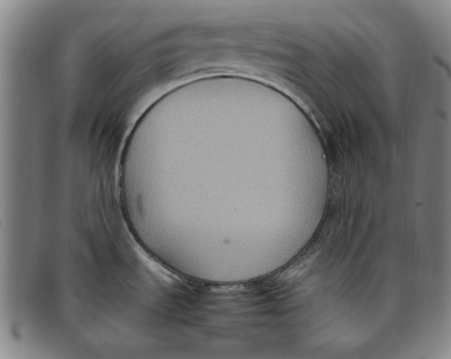 X0000097881535200804041602