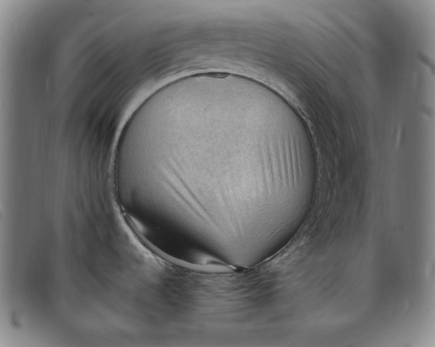 X0000097881536200804041602