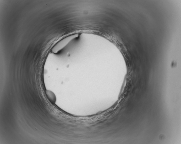 X0000097880001200804111003