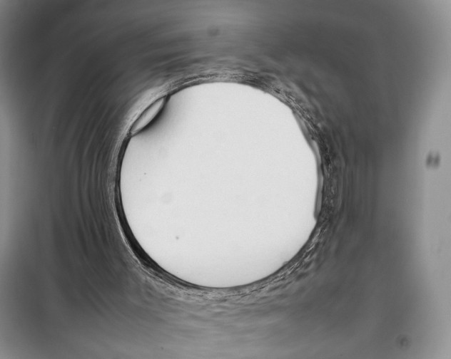 X0000097880003200804111003