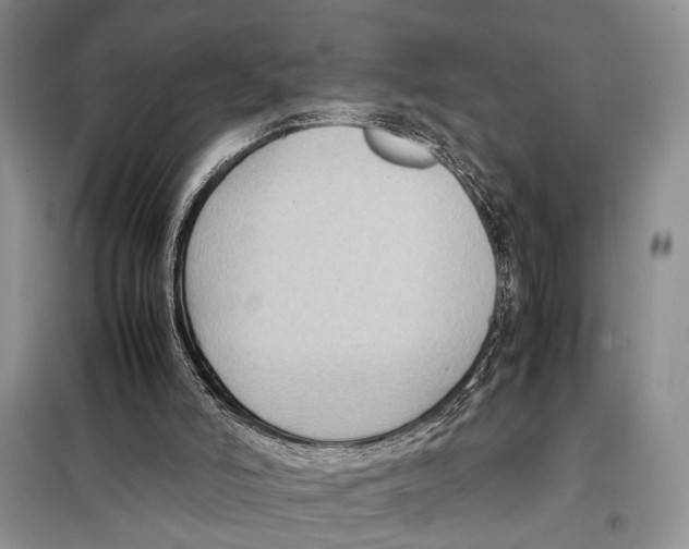 X0000097880006200804111003