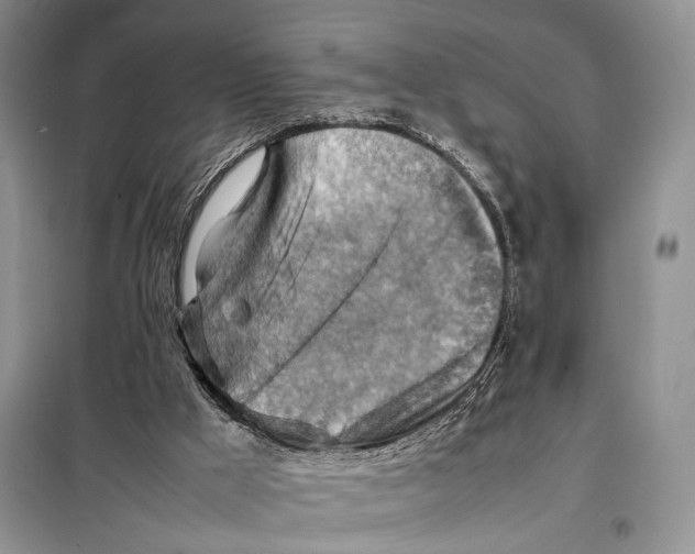 X0000097880009200804111003