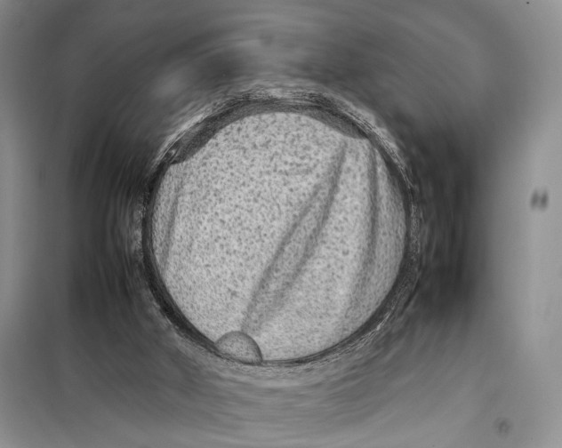 X0000097880010200804111003