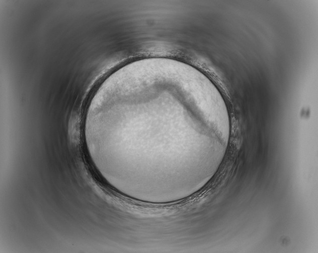 X0000097880012200804111003