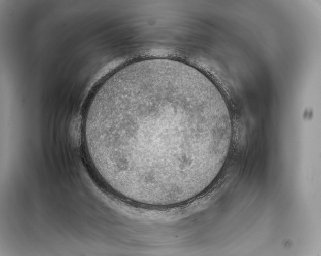 X0000097880016200804111003