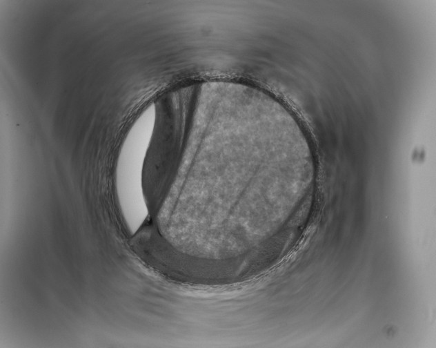 X0000097880017200804111003