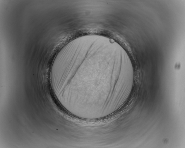 X0000097880018200804111003