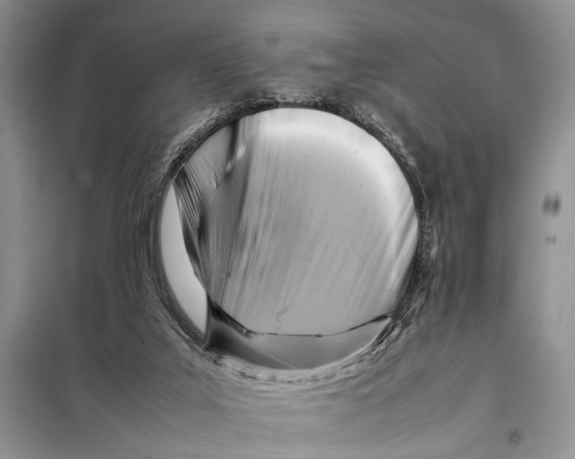 X0000097880019200804111003