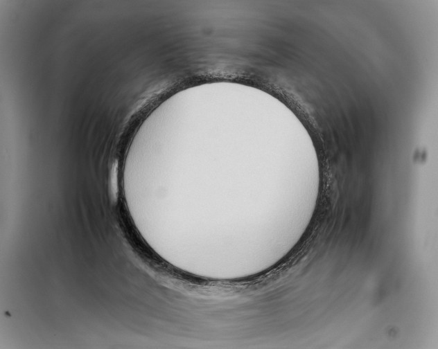 X0000097880020200804111003