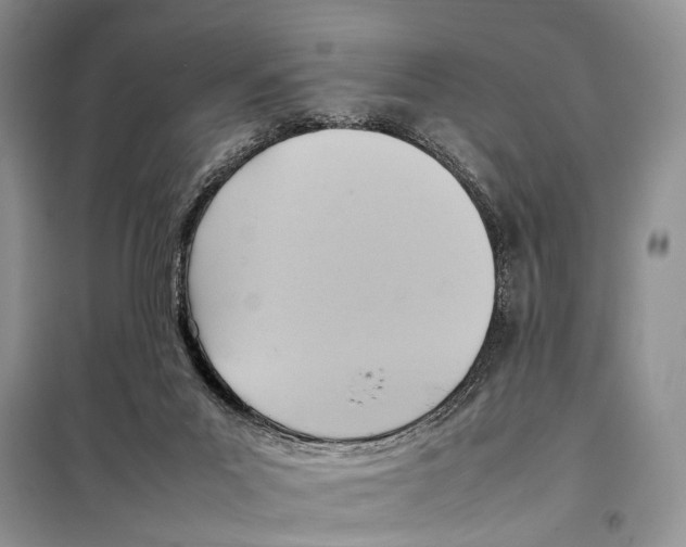 X0000097880023200804111003