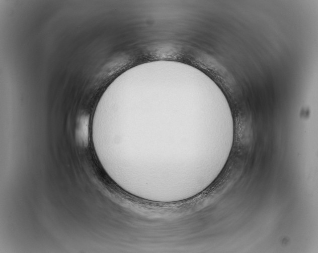 X0000097880028200804111003