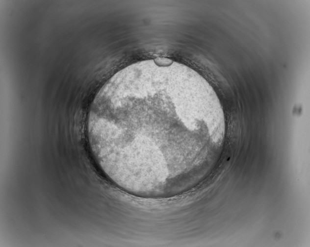 X0000097880030200804111003