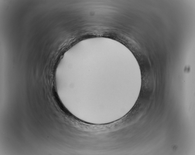 X0000097880031200804111003