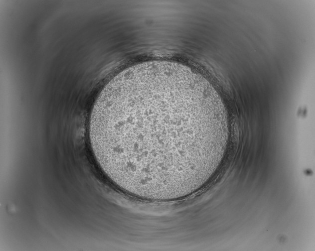 X0000097880032200804111003