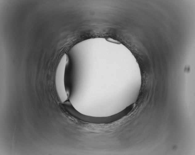 X0000097880033200804111003