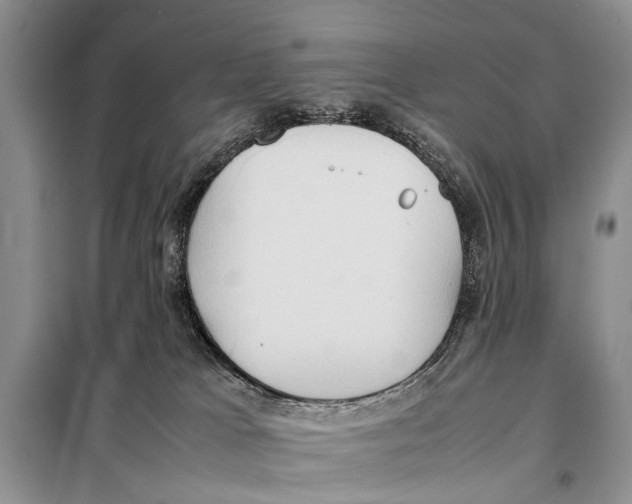 X0000097880037200804111003