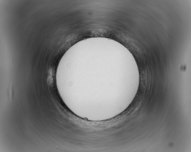 X0000097880038200804111003