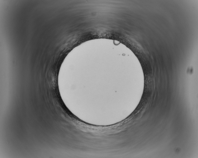 X0000097880039200804111003