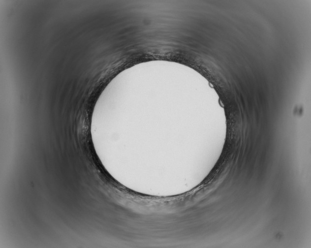 X0000097880040200804111003