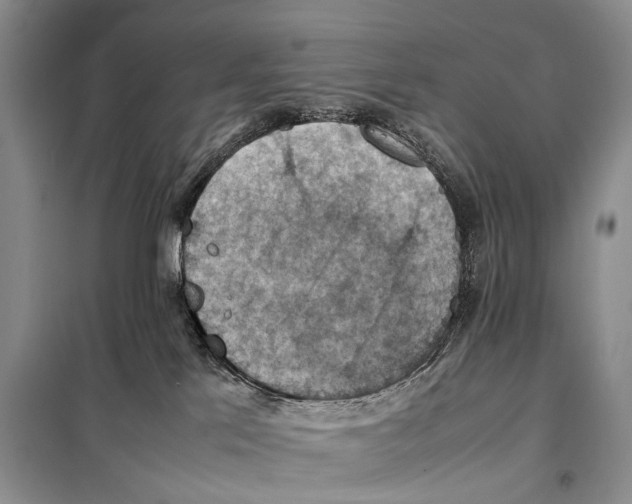 X0000097880041200804111002