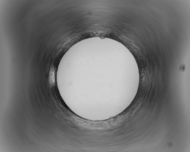 X0000097880042200804111002