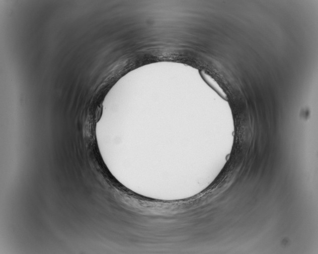 X0000097880044200804111002