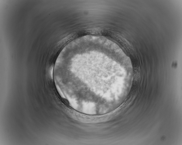 X0000097880047200804111002