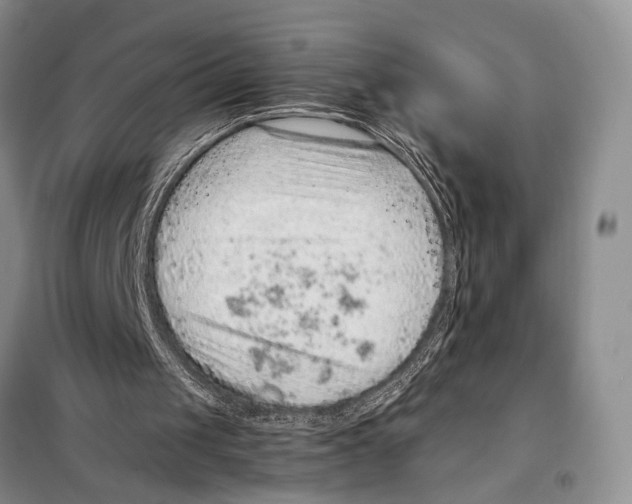 X0000097880049200804111002