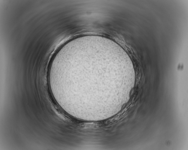 X0000097880050200804111002