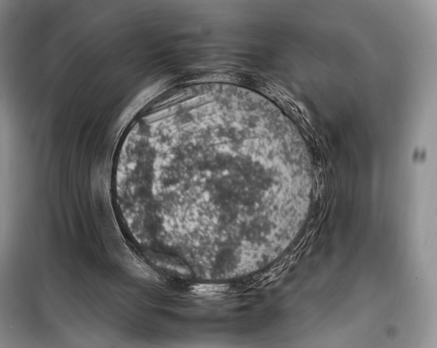 X0000097880051200804111002