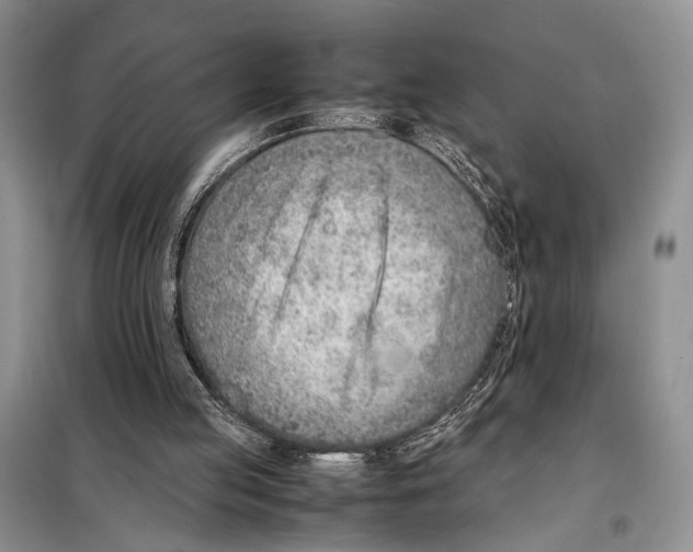 X0000097880053200804111002