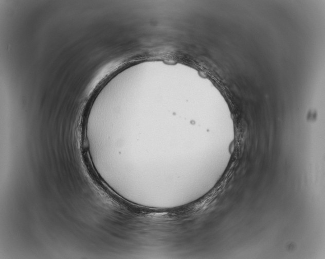 X0000097880054200804111002