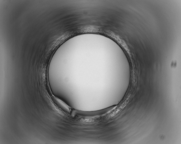 X0000097880057200804111002