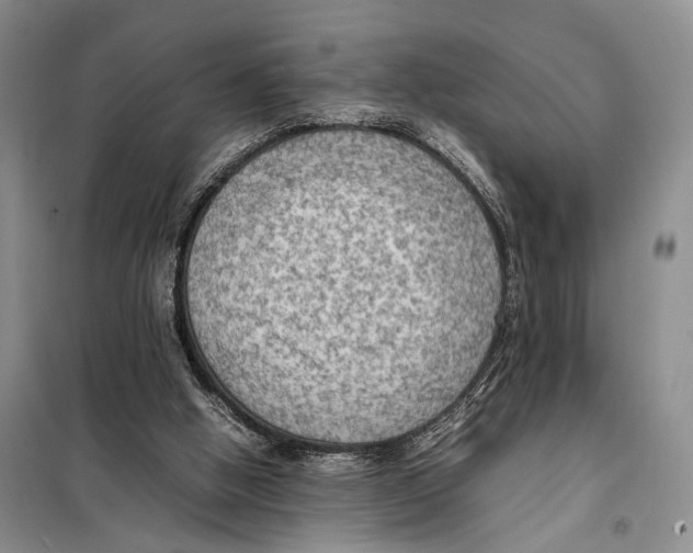 X0000097880058200804111002