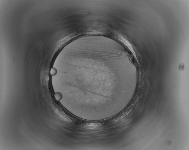 X0000097880059200804111002