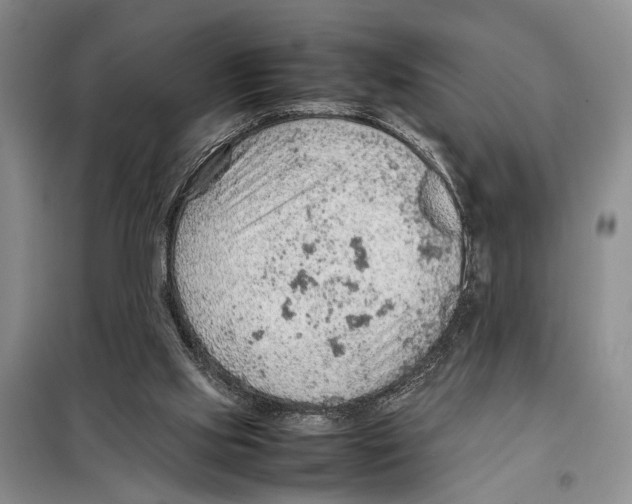 X0000097880061200804111002