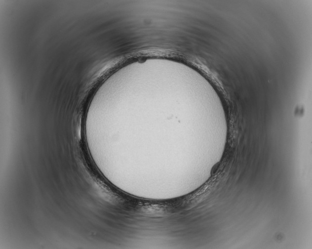 X0000097880062200804111002