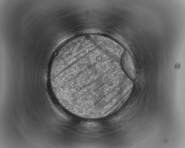 X0000097880063200804111002