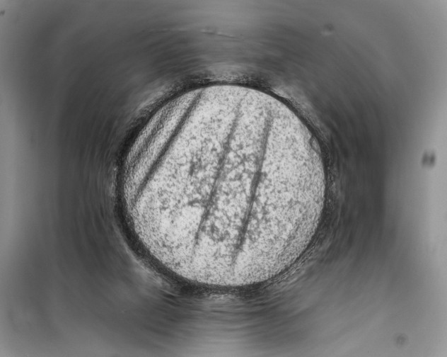 X0000097880066200804111002