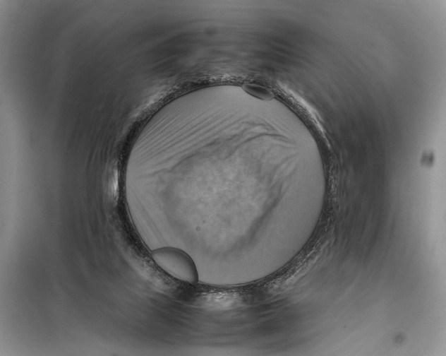 X0000097880067200804111002