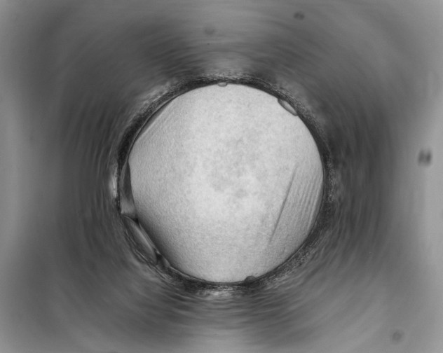 X0000097880068200804111002