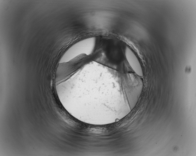 X0000097880069200804111002