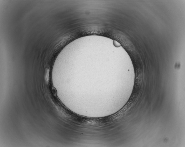 X0000097880070200804111002