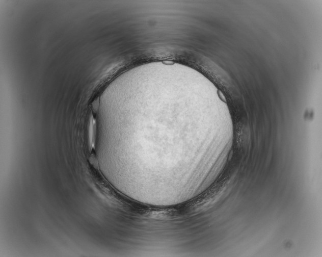 X0000097880072200804111002