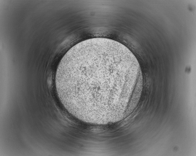 X0000097880074200804111002