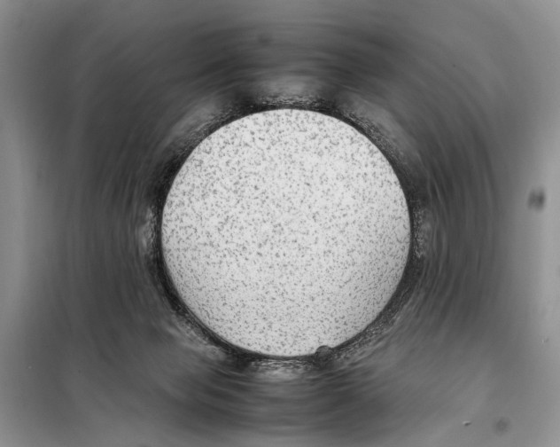 X0000097880077200804111002