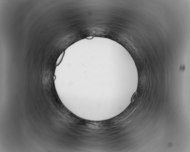 X0000097880079200804111002