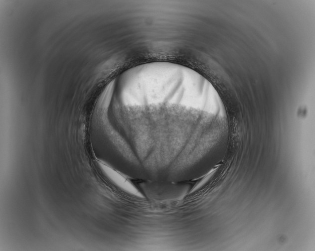 X0000097880080200804111002