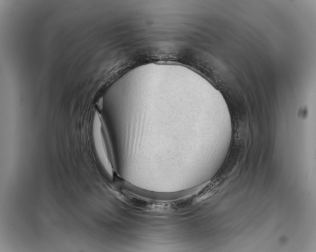 X0000097880084200804111002