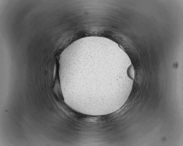 X0000097880086200804111002